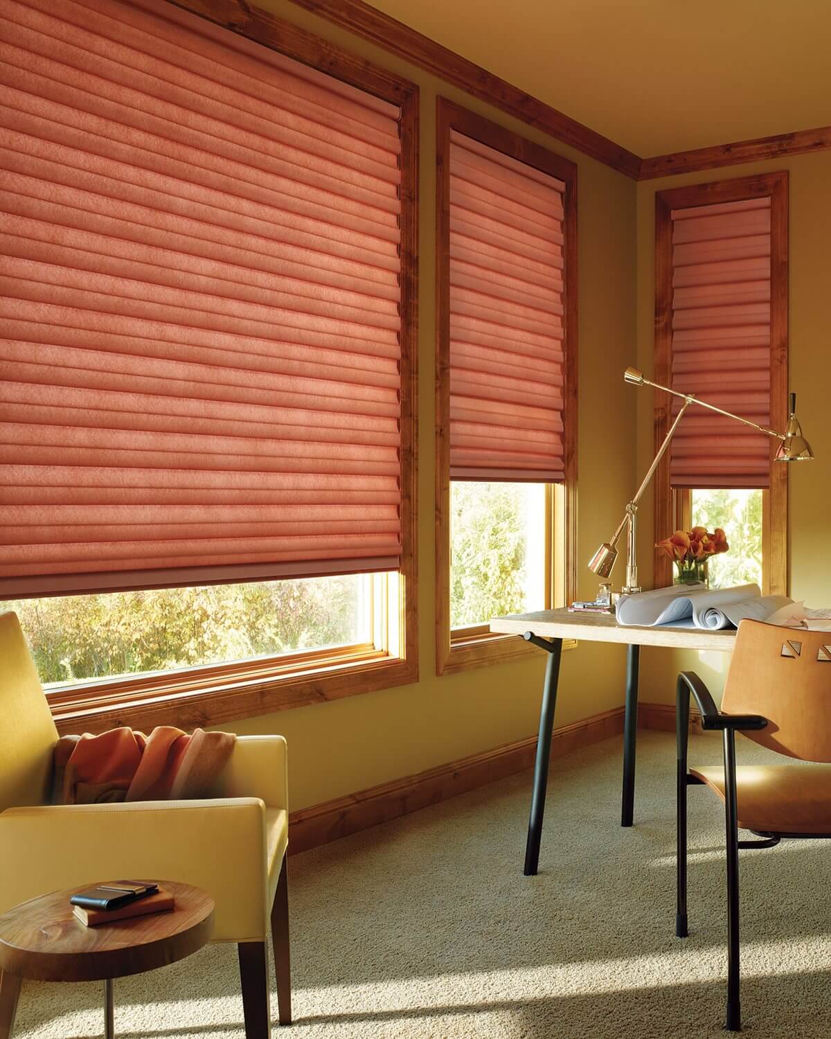 Жалюзи плиссе. Плиссе Хантер Даглас. Hunter Douglas рулонные шторы. Плиссе Hunter Douglas. Hunter Douglas жалюзи.